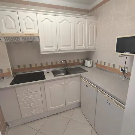 Apartment Paraiso Royal Playa de las Americas (Tenerife)
